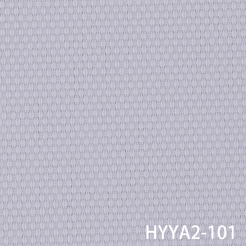 HYYA2-101