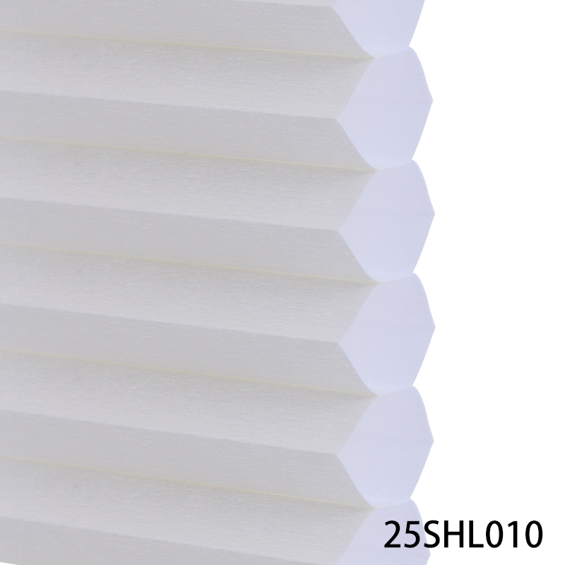 25SHL010