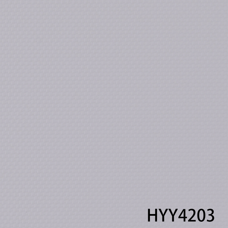 HYY4203