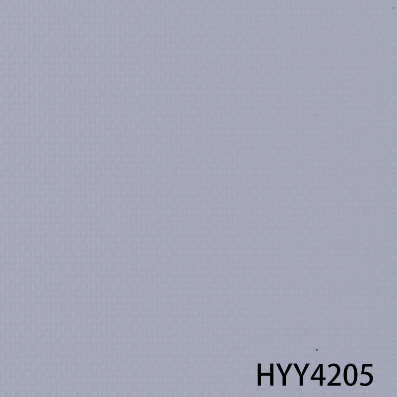 HYY4205