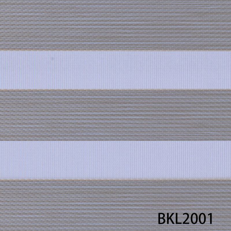 BKL2001