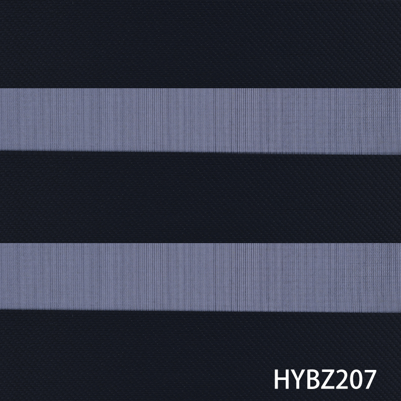 HYBZ207